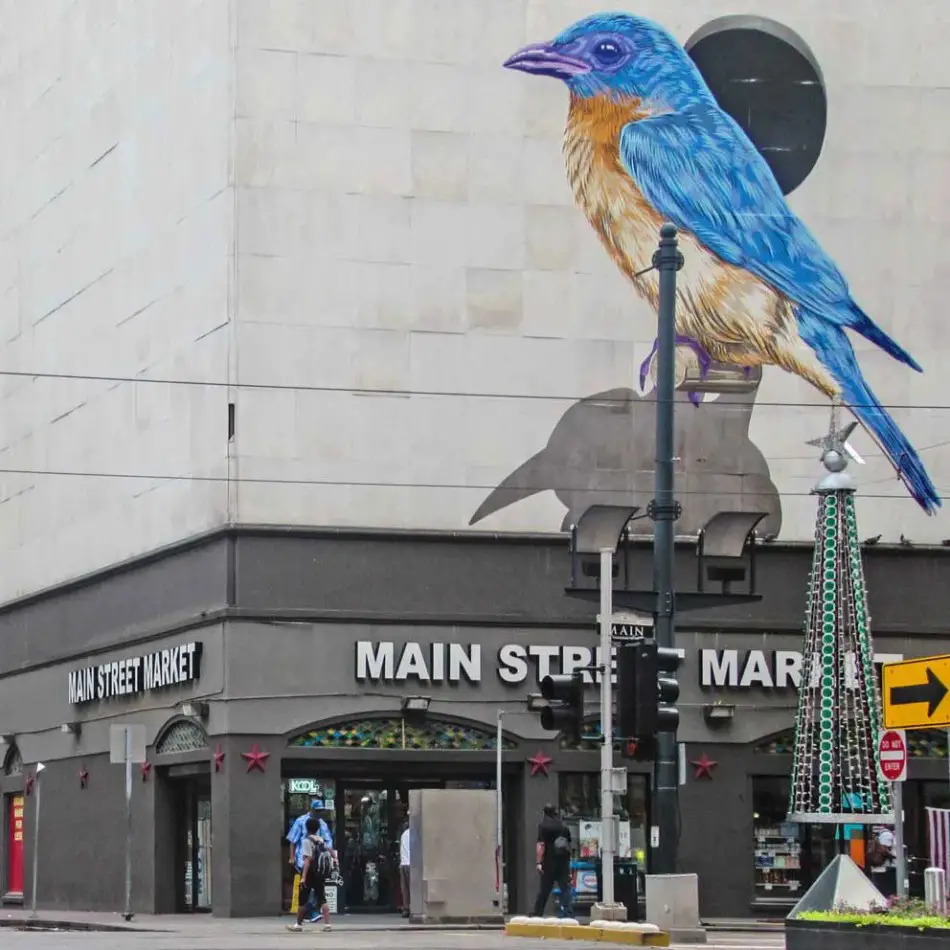 Main street market bird wall