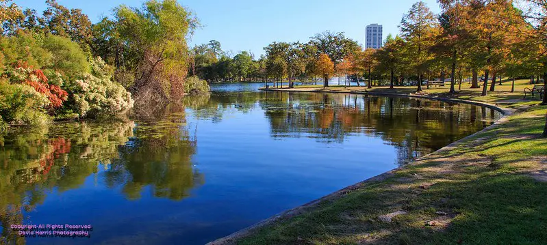 Best Fishing Spot in Houston - McGovern Lake