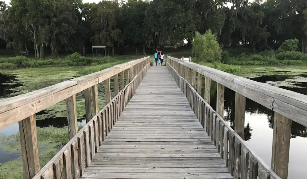 Hiking Trails in Houston - Brazos Bend State Park