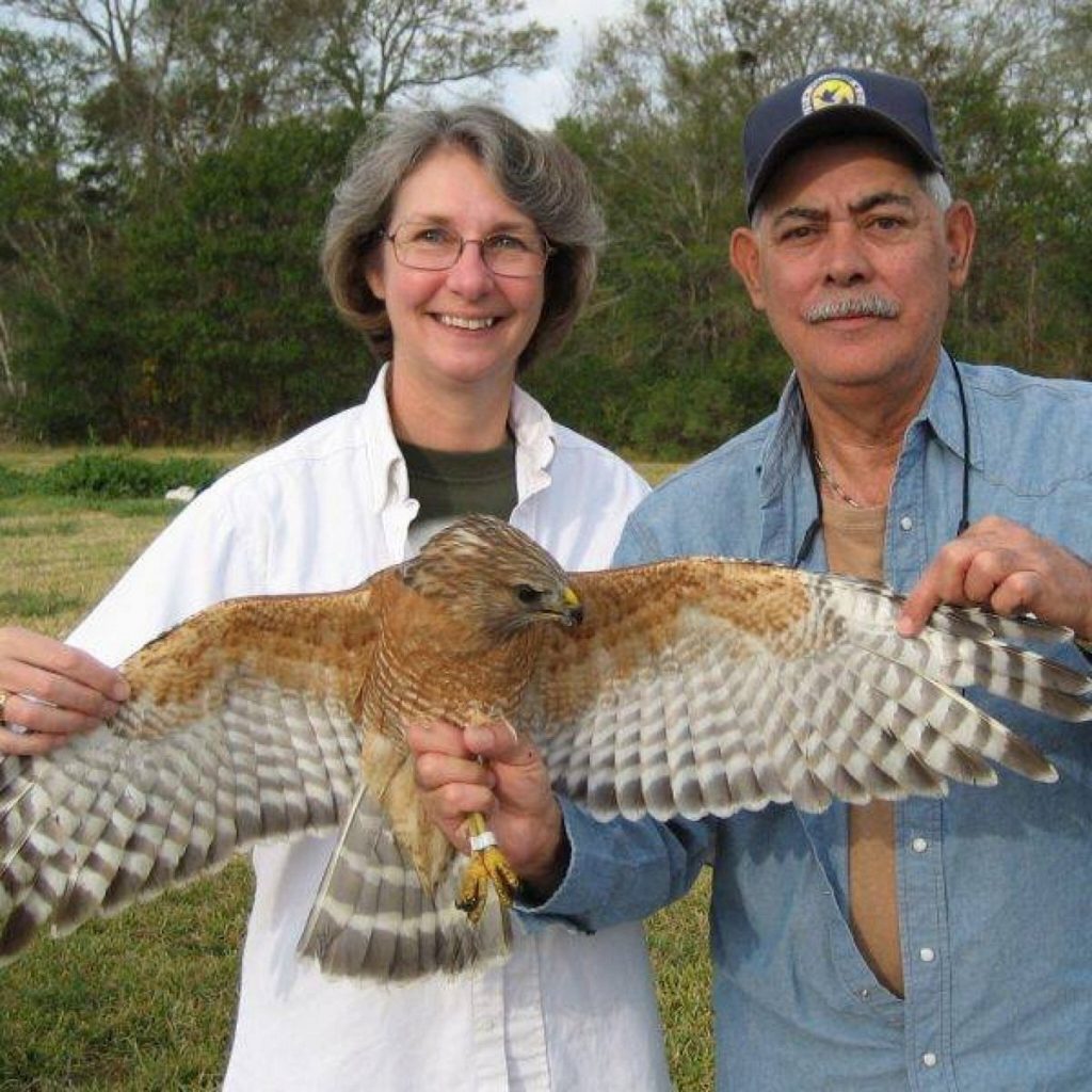 Things To Do In Lake Jackson TX - Gulf Coast Bird Observatory