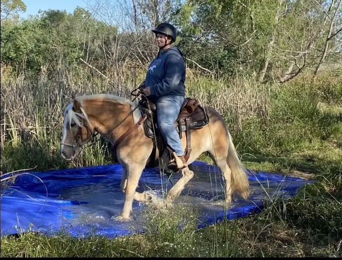 10 Spots to Go Horseback Riding in Houston Texas