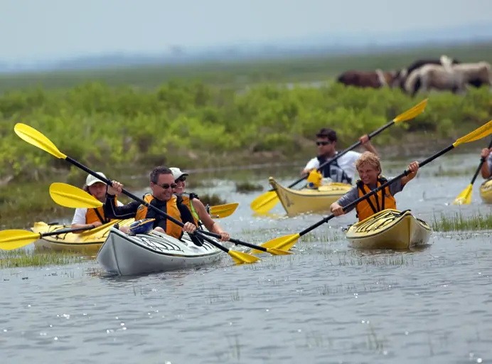 Kayaking In Houston, Tx - Galveston Island State Park
