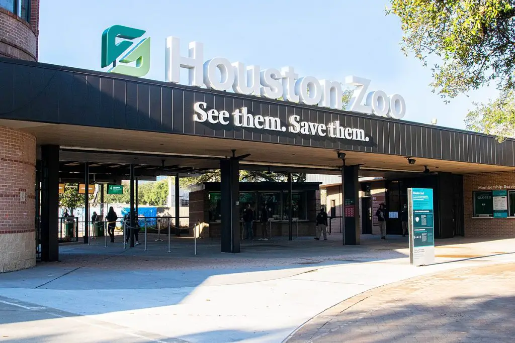 Things To Do In South Houston - Houston Zoo