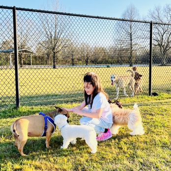 Best Dog Parks In Houston - Millie Bush Dog Park