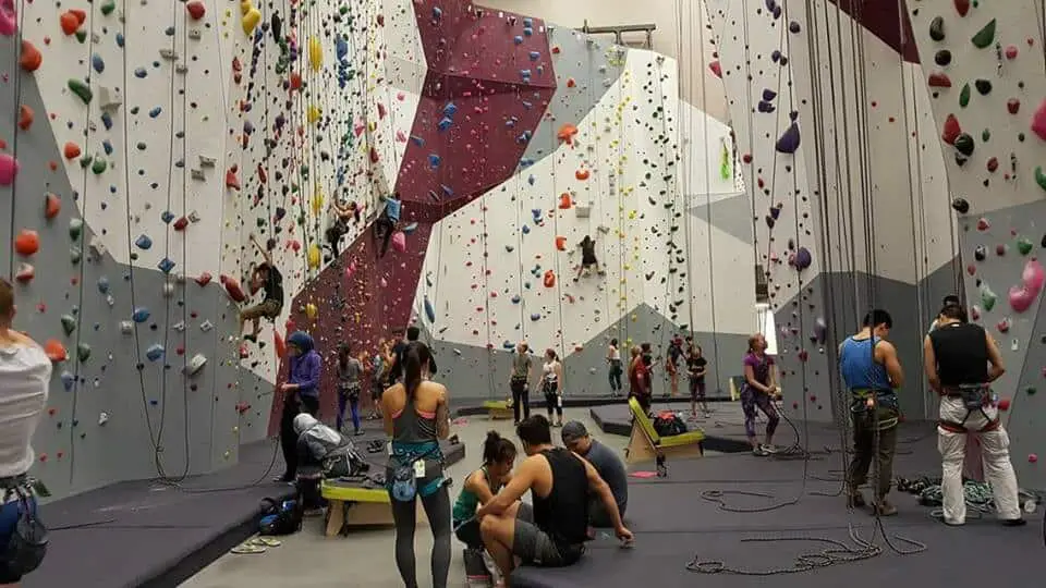 indoor Rock Climbing In Houston - Momentum Indoor Rock Climbing