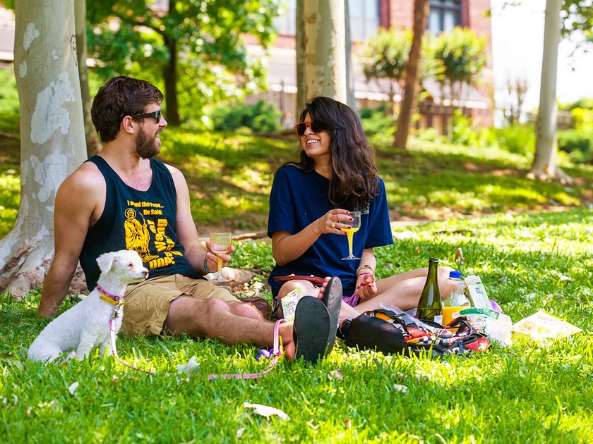  Picnic Spots in Houston For a Lovely Time