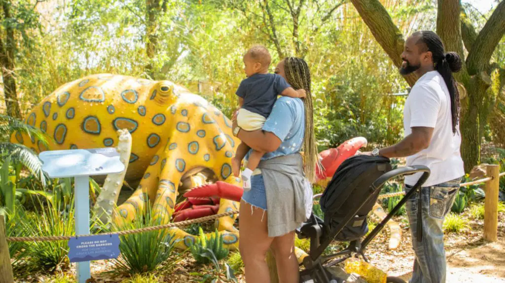 Reasons to Visit the Houston Zoo