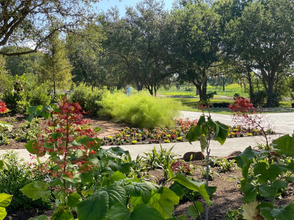 Reasons to Visit Houston Botanic Garden