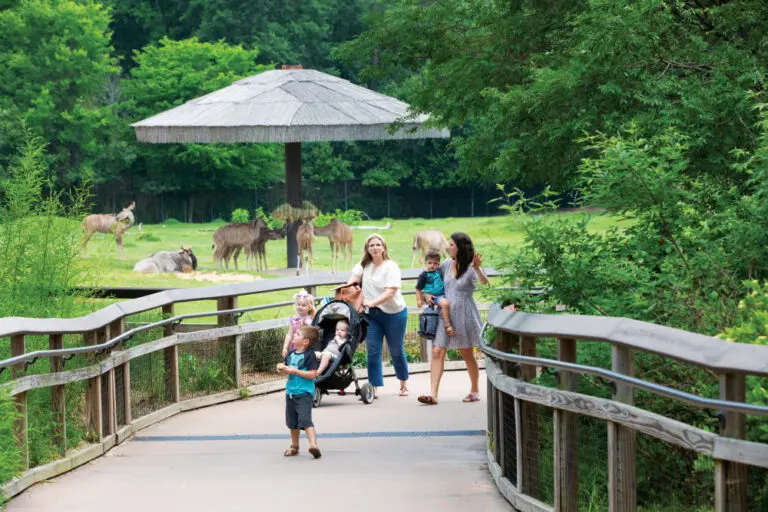 Reasons You Should Visit Caldwell Zoo In Tyler