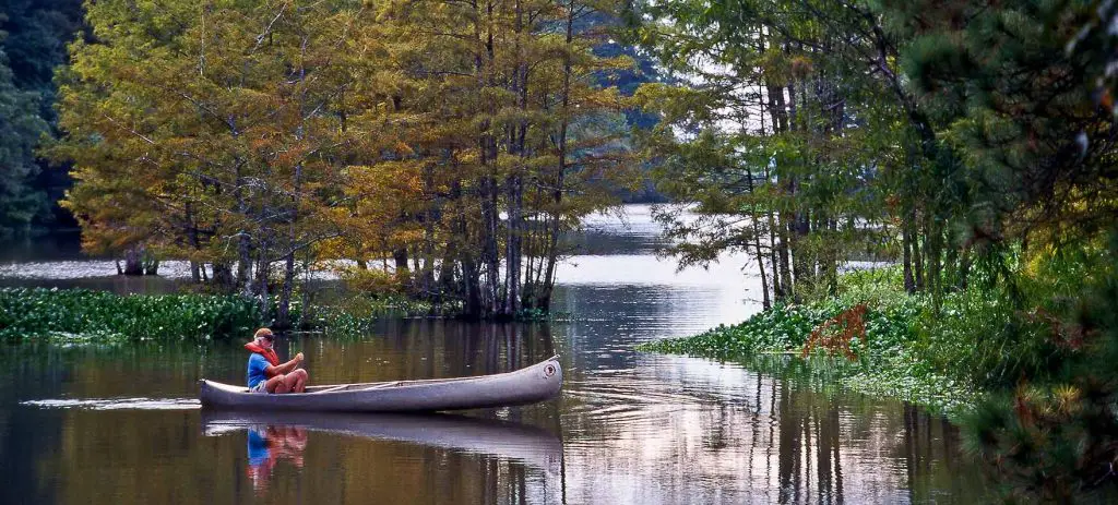 Best Places To Canoe In Or Near Houston